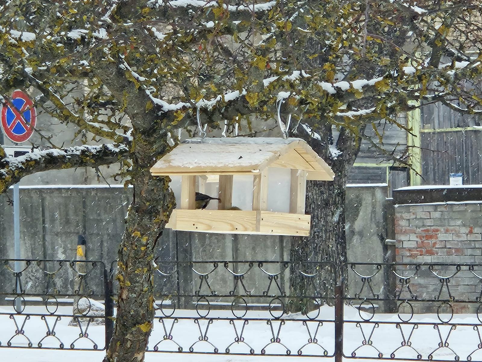 pulciņa dalībnieku uzstādītā putnu barotava